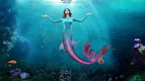 掉入大海变成人鱼视频,人鱼公主的奇幻蜕变之旅