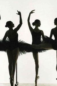 体验课成人塑形视频